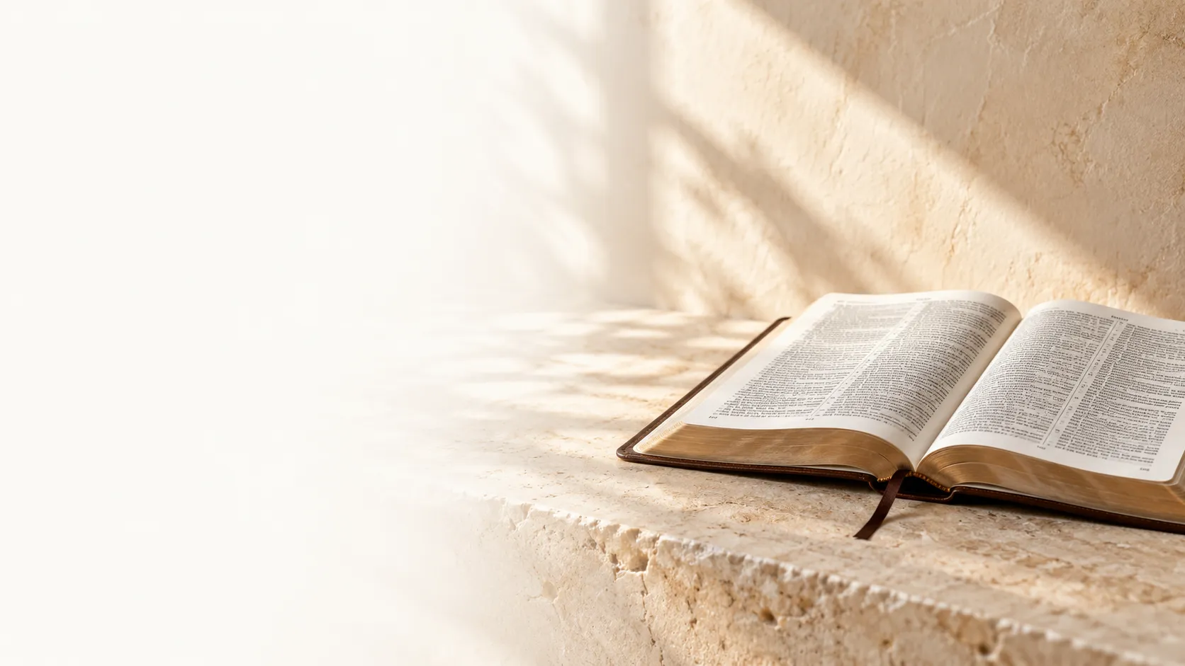 An open Bible resting on a stone surface in warm sunlight.